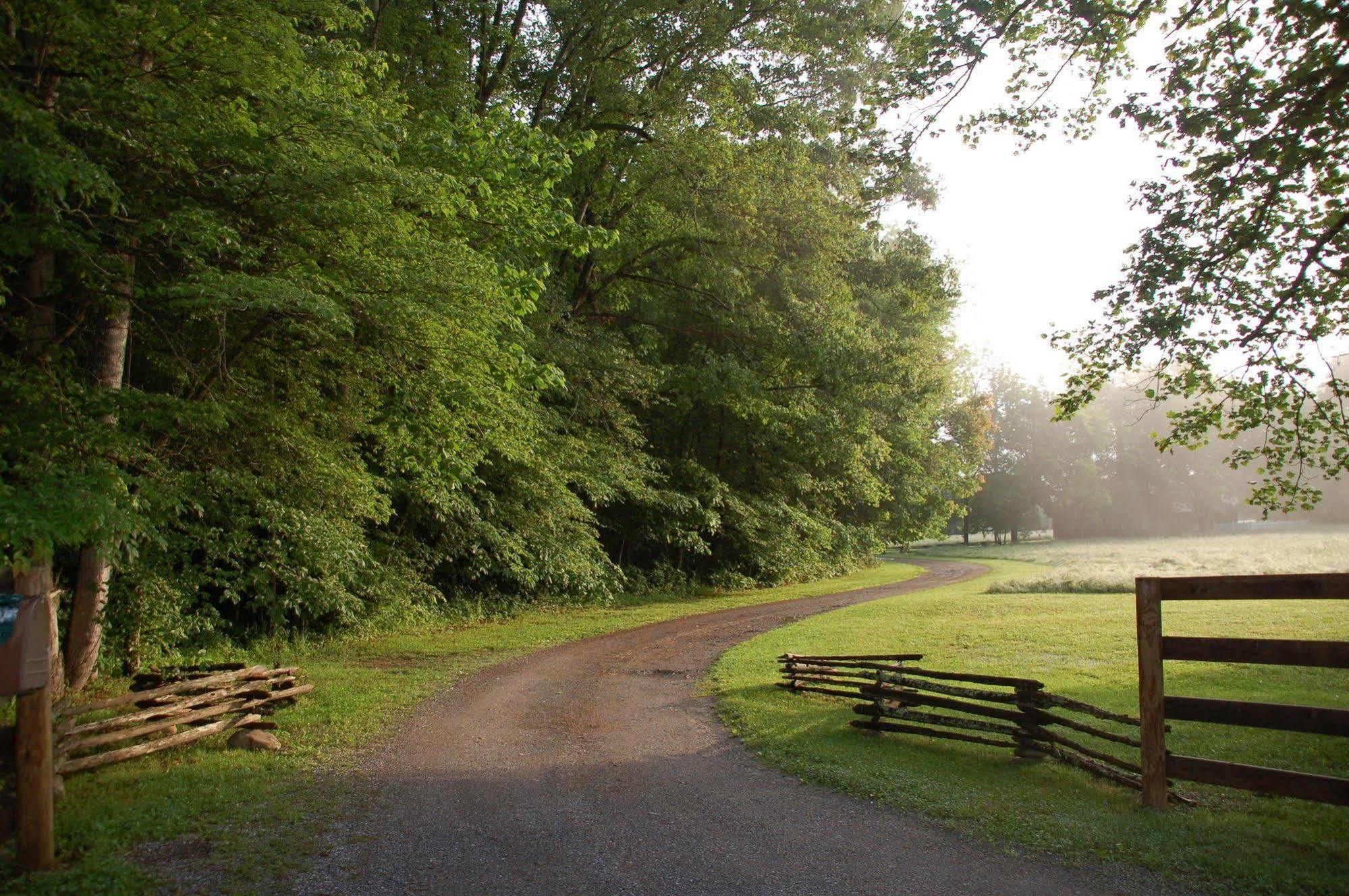 Creekwalk Inn And Cabins Cosby Exterior foto